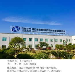 一顆紅心永向黨,建功立業(yè)新時(shí)代 凌云西南區(qū)域柳州工廠黨支部舉辦 中國夢 凌云夢 主題攝影活動(dòng)